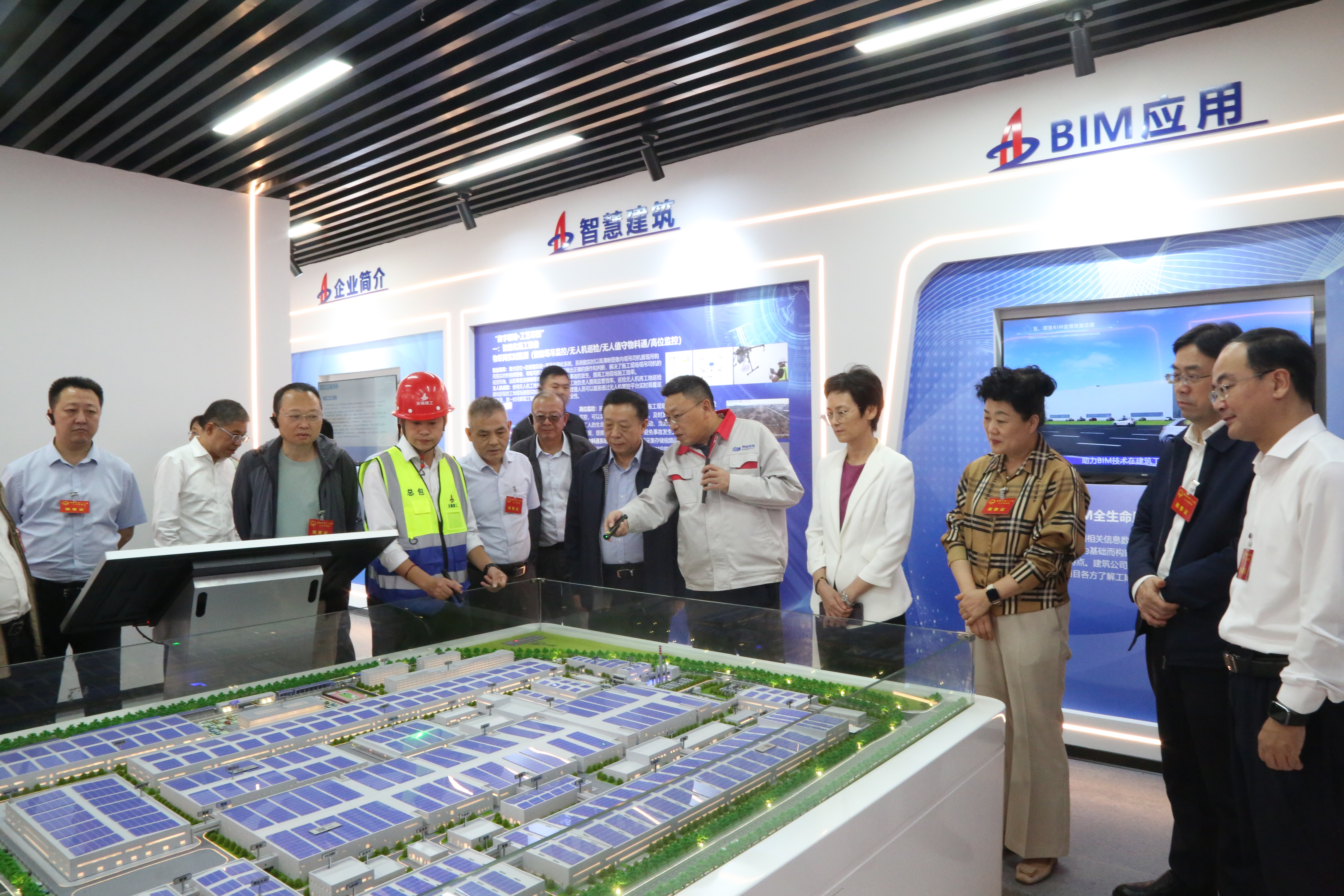 市人大常委会集体视察“重大项目提升年”实施情况  张梦生等参加