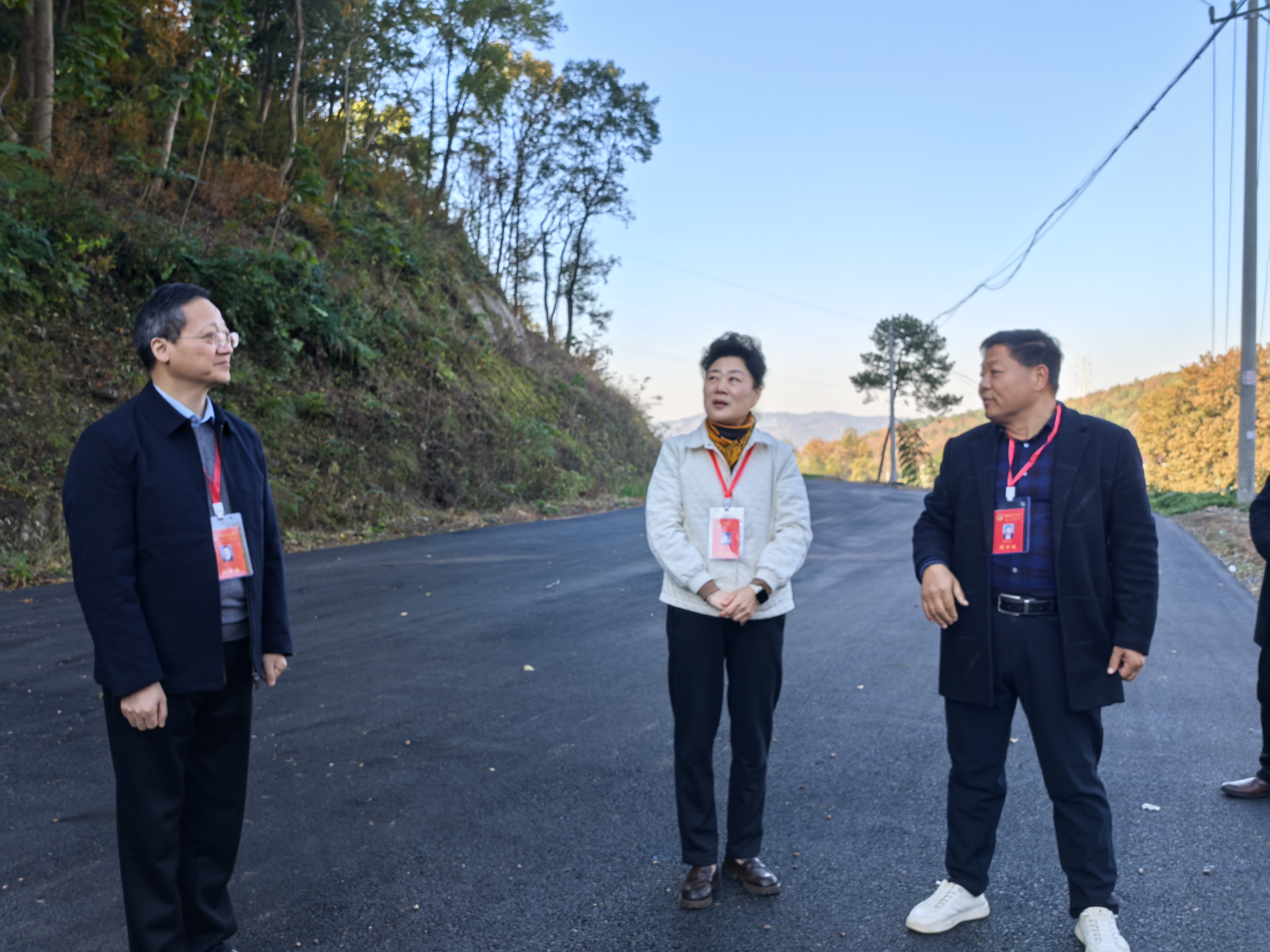 郑晓艳赴枞阳参加代表小组活动