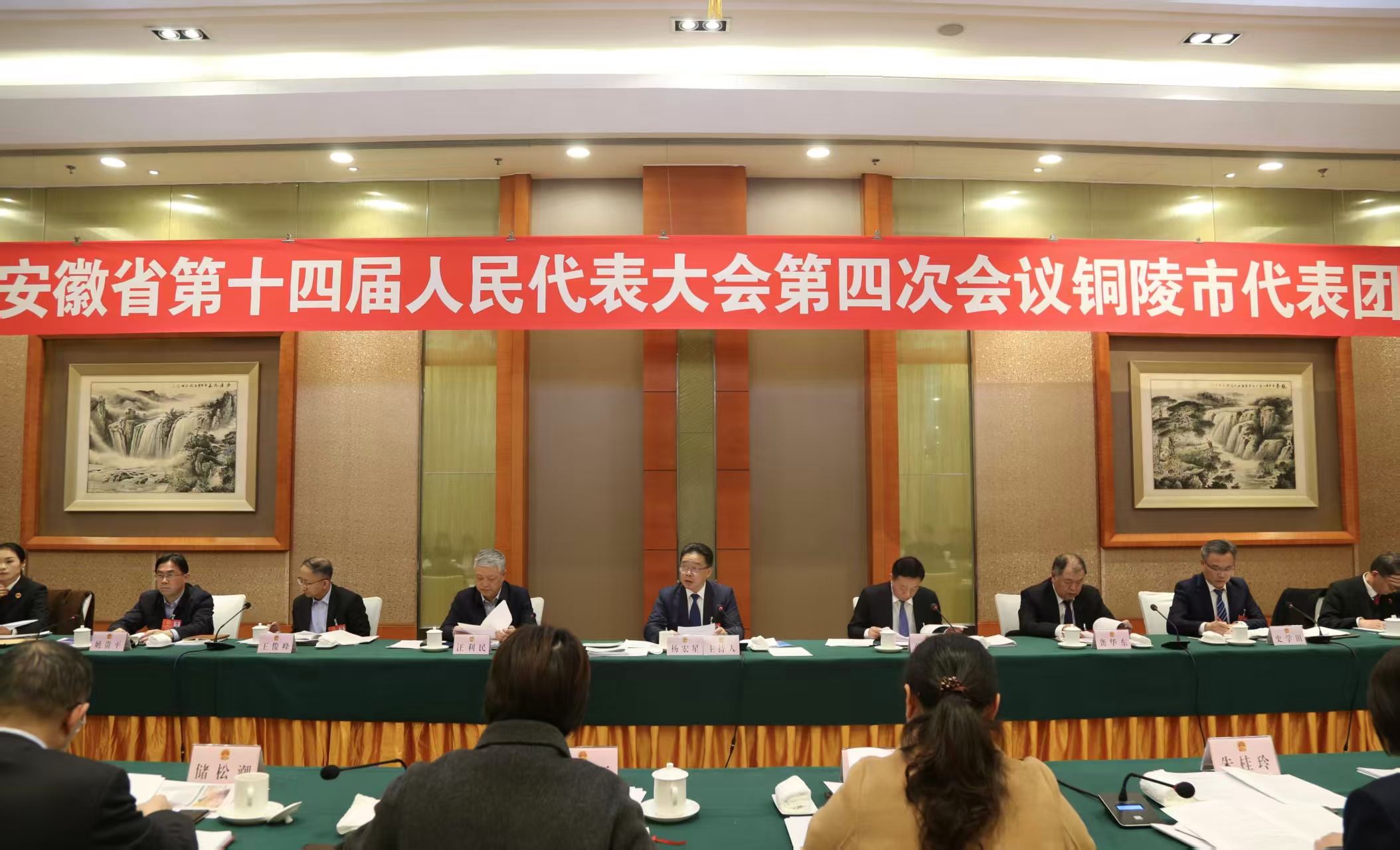 省十四届人大四次会议铜陵代表团审议省人大常委会和省“两院”工作报告等  杨宏星主持 张梦生等参加