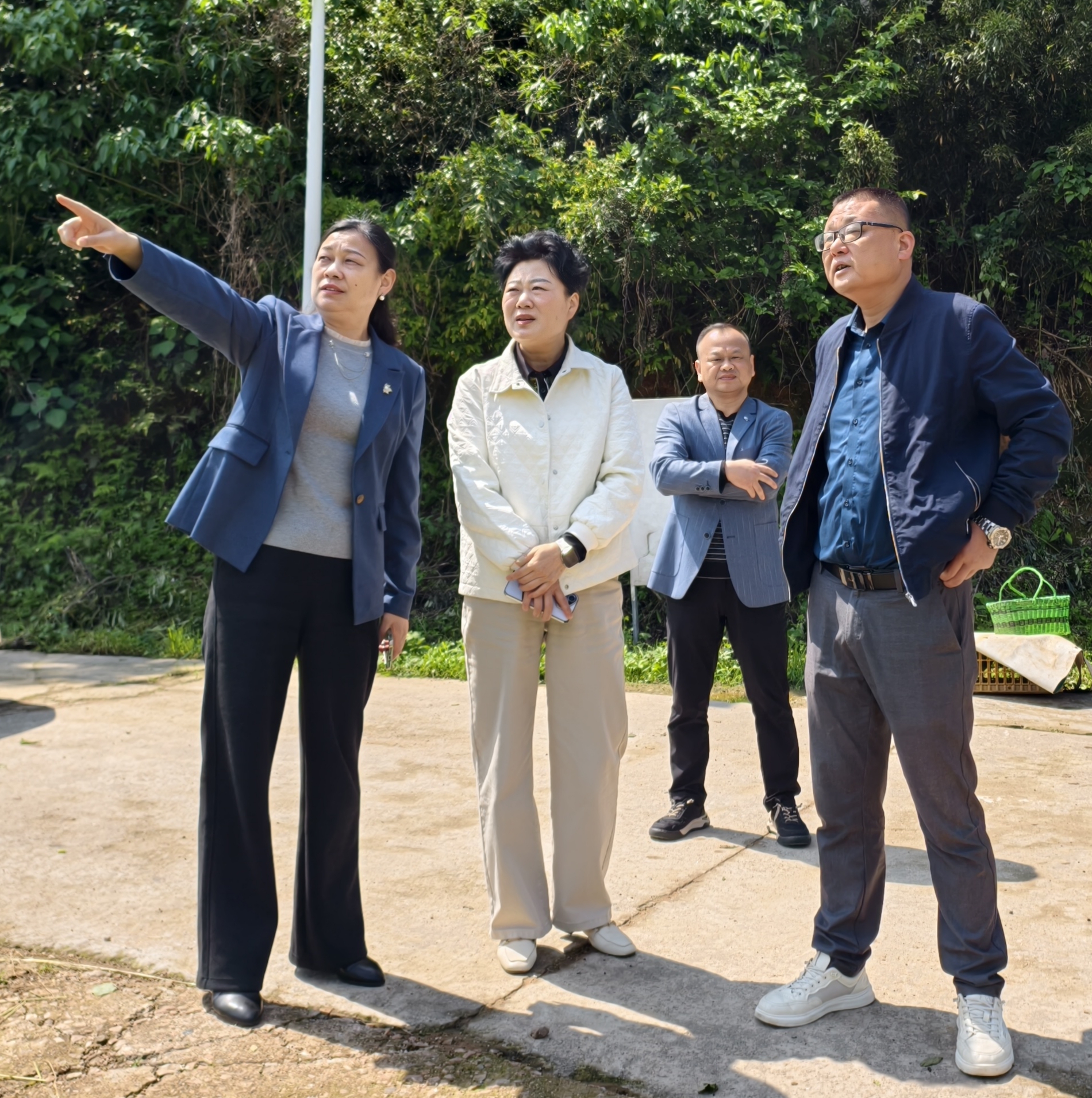 郑晓艳开展“访企入村”活动