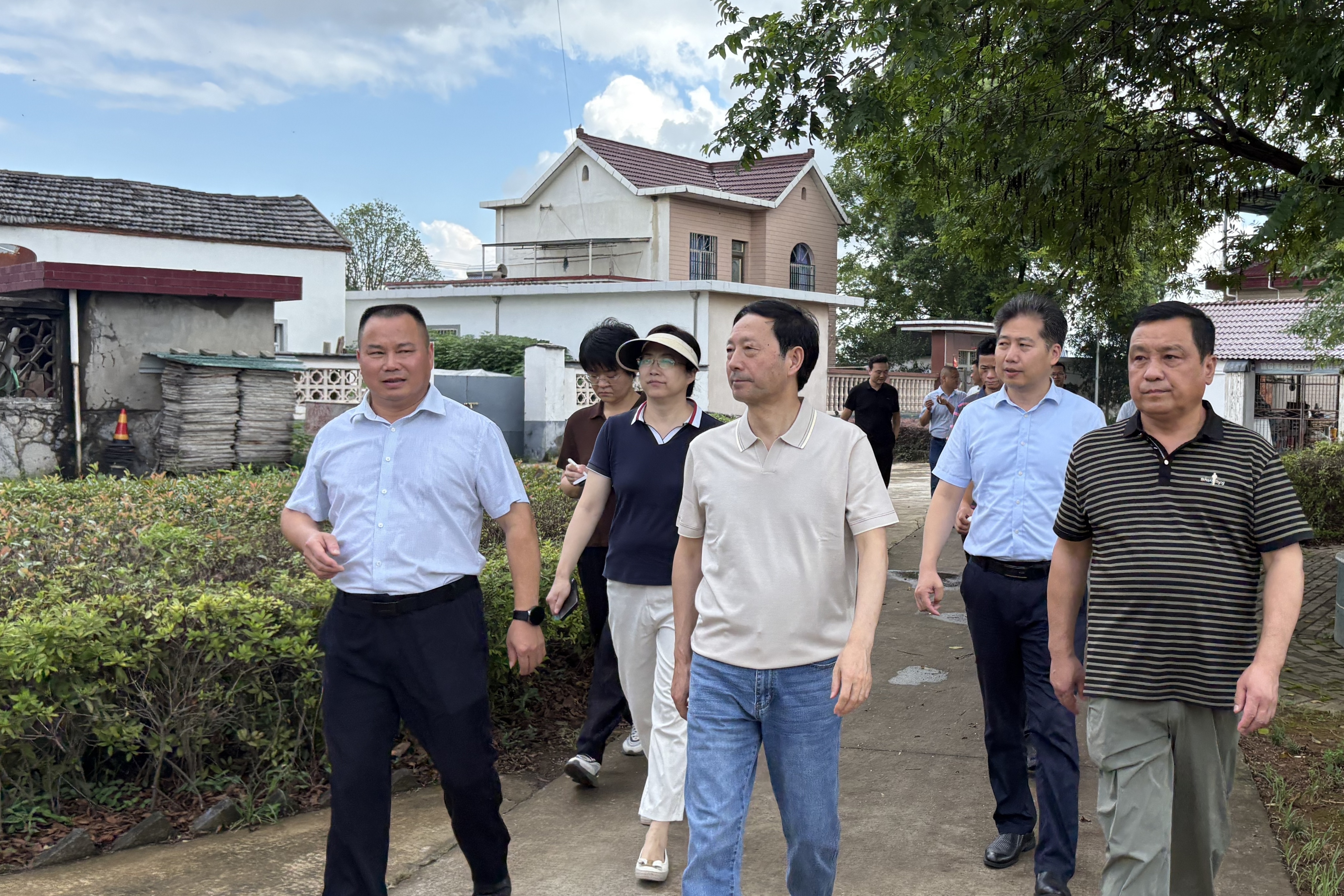 省人大农业农村委来铜调研“千村引领、万村升级”工程实施情况