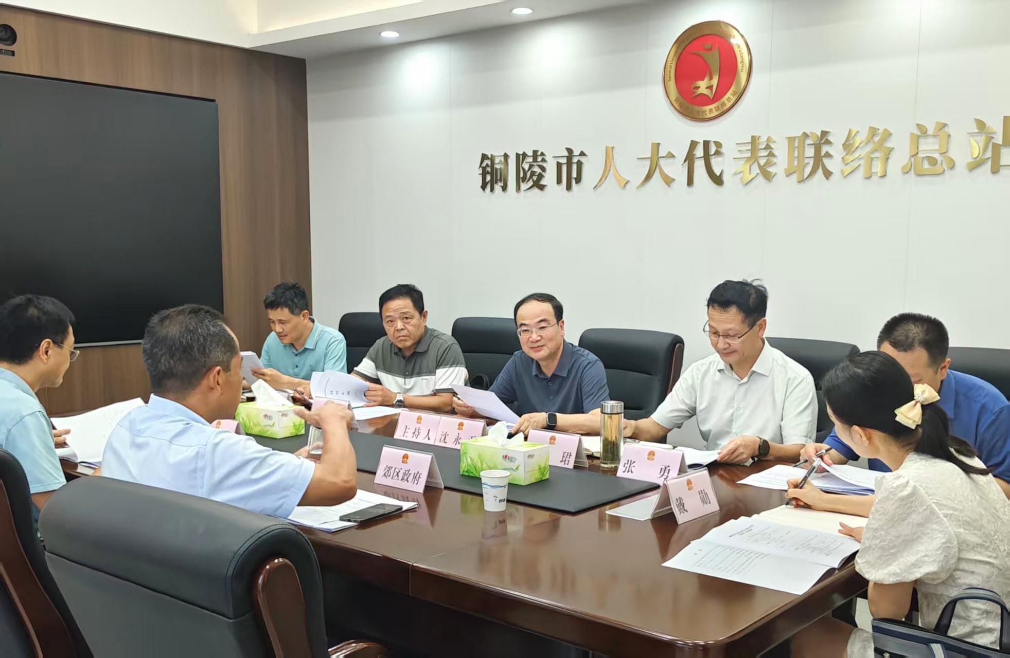 沈永平督办代表建议